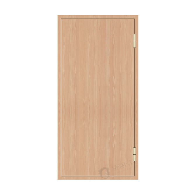 Глухая противопожарная дверь